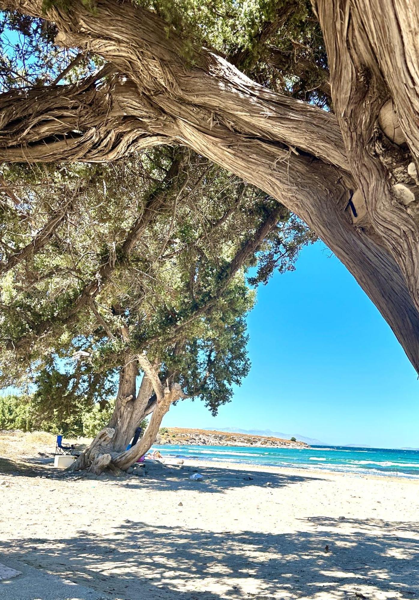 Marissa Boutique Hotel Çeşme Exteriör bild